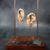 Hanging Ears - Fish Hook Earring Display
